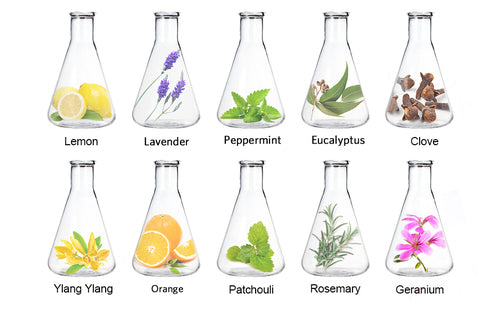 Lagunamoon Essential Oils Gift Set